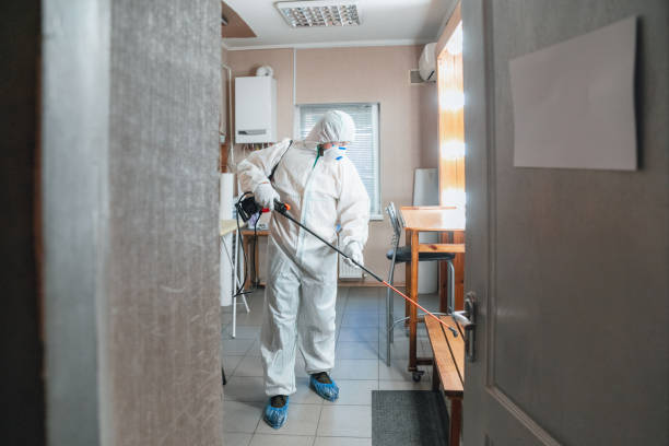 Best Black Mold Removal  in Syracuse, IN