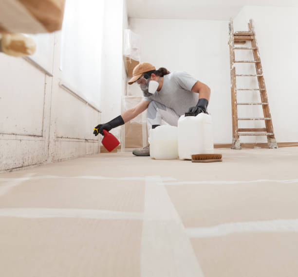 Best Commercial Mold Inspection  in Syracuse, IN