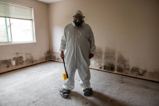 Trusted Syracuse, IN Mold Removal Experts
